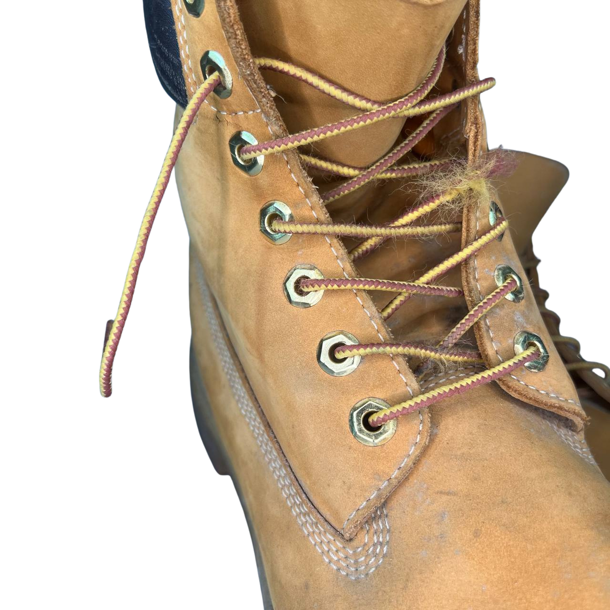 Timberland 11 mens 6Inch Premium Waterproof Boots
