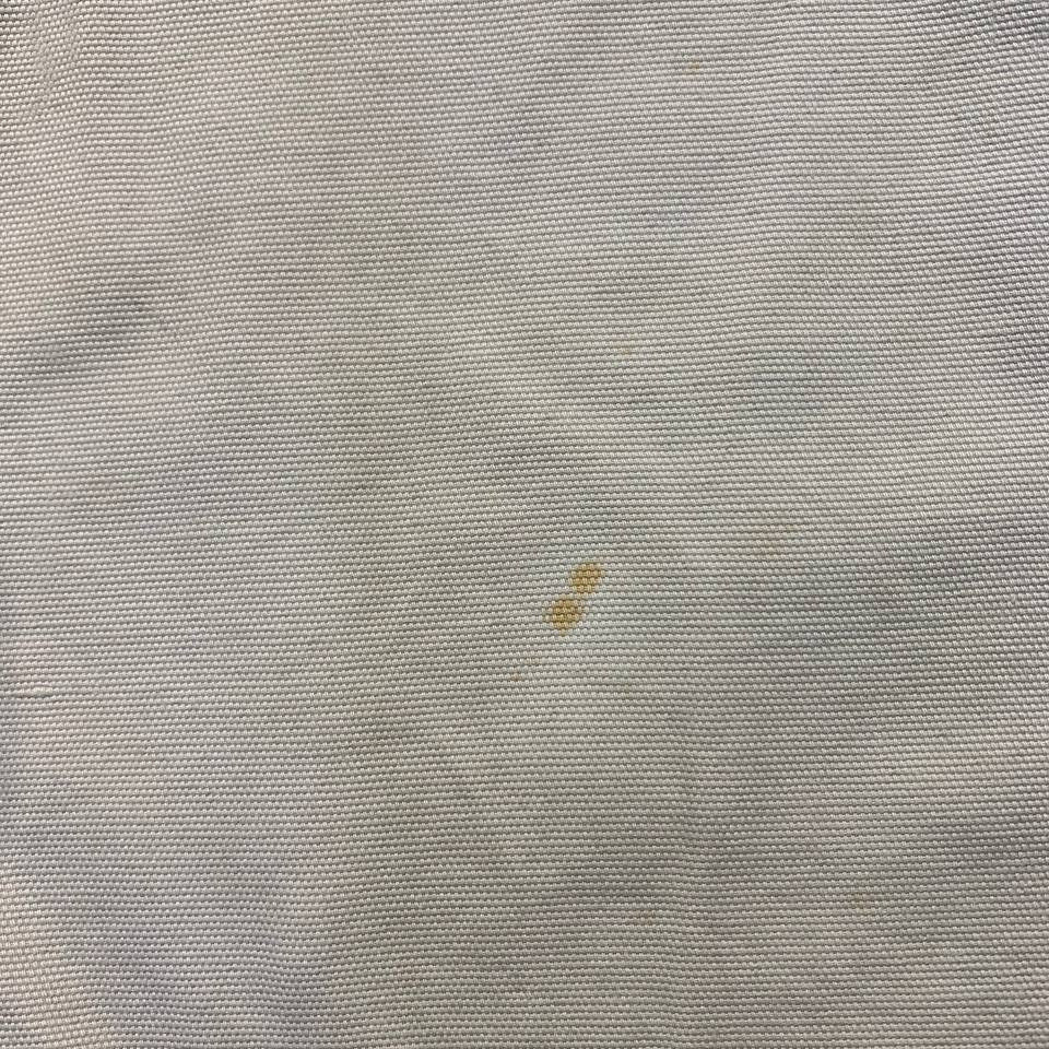 Carhartt B164 PUT Cargo Short