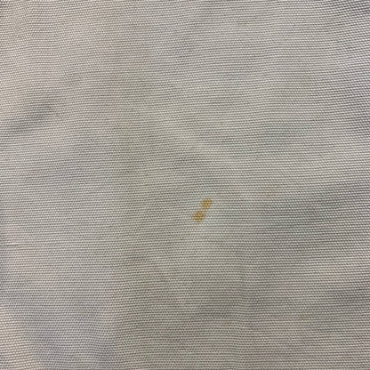 Carhartt B164 PUT Cargo Short