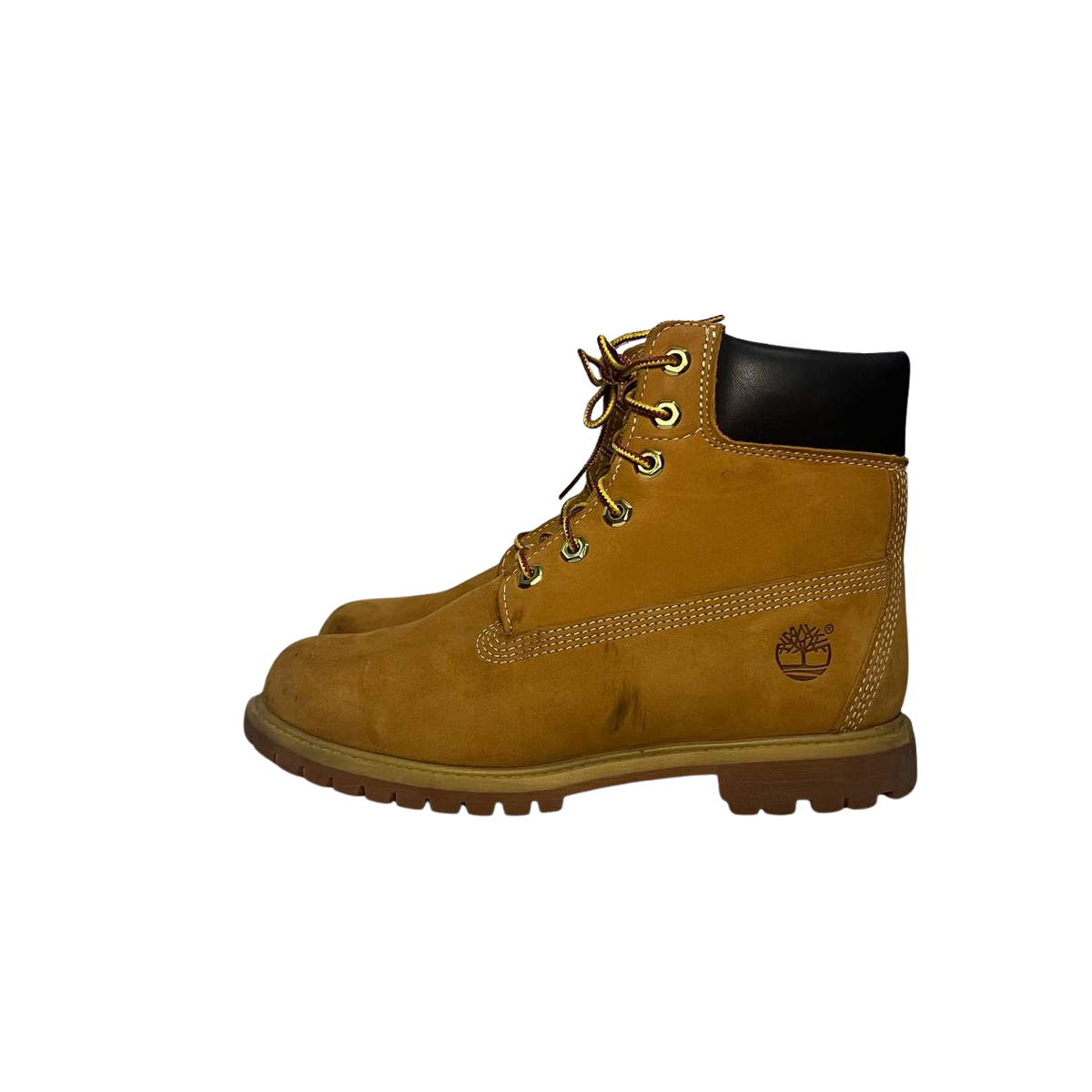 Timberland 8 women's 6-inch Premium Waterproof Boot