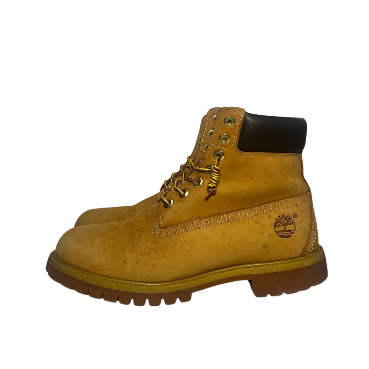 Timberland 9 men's Premium 6-Inch Waterproof Boot