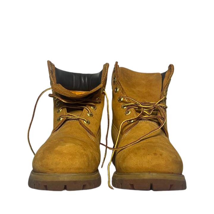 Timberland 10 men's Premium 6-Inch Waterproof Boot