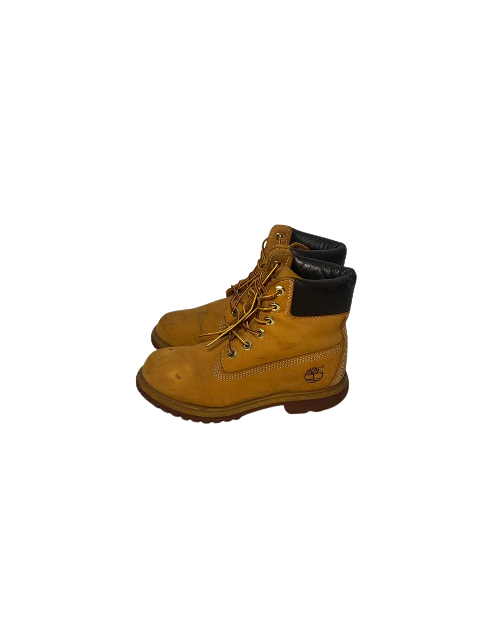 Timberland 5.5 Women's Premium 6-Inch Waterproof Boot