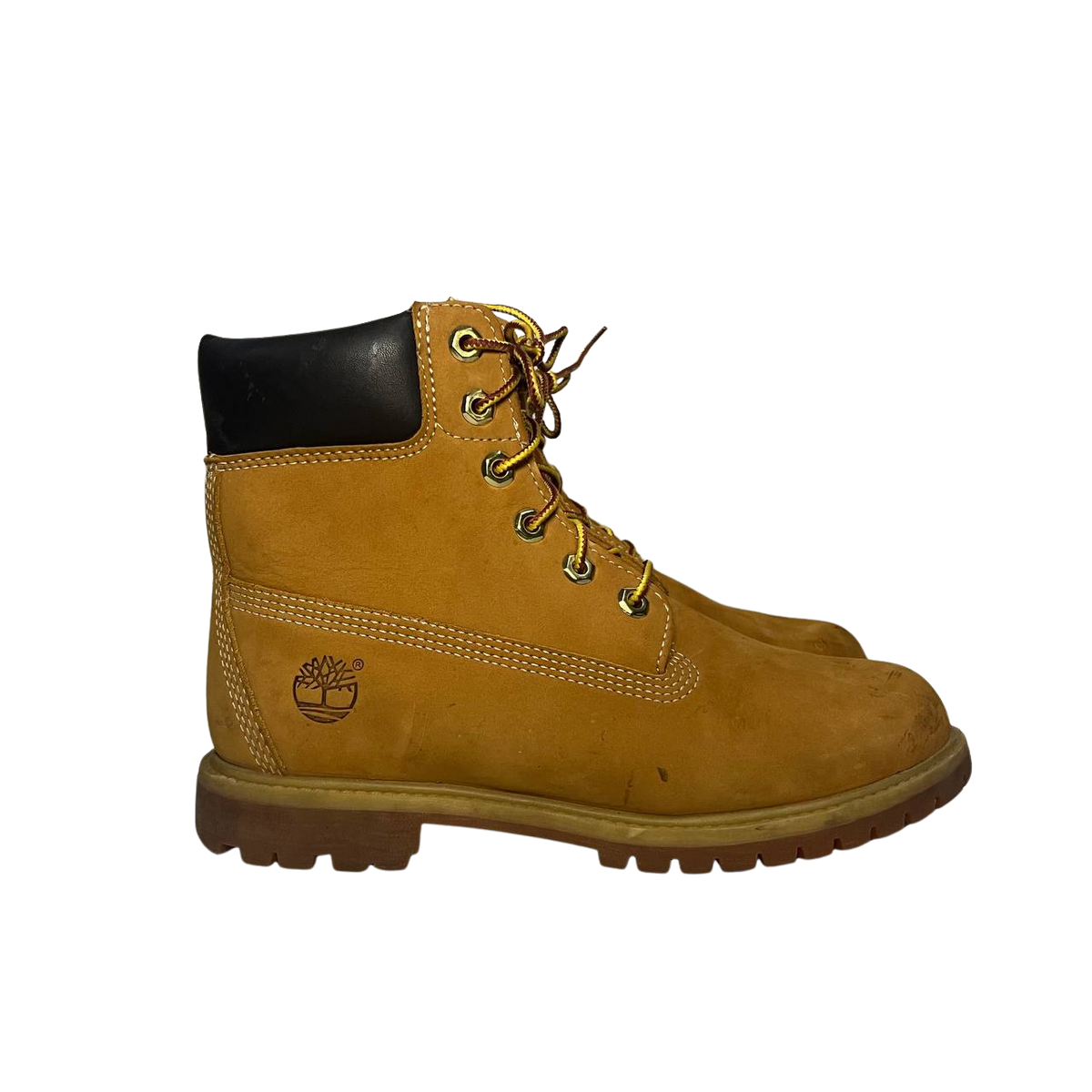 Timberland 8 women's 6-inch Premium Waterproof Boot