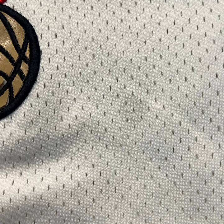 Champion Allen Iverson Philadelphia 76ers Jersey #3