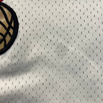 Champion Allen Iverson Philadelphia 76ers Jersey #3