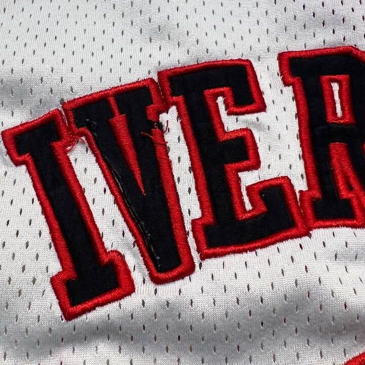 Champion Allen Iverson Philadelphia 76ers Jersey #3