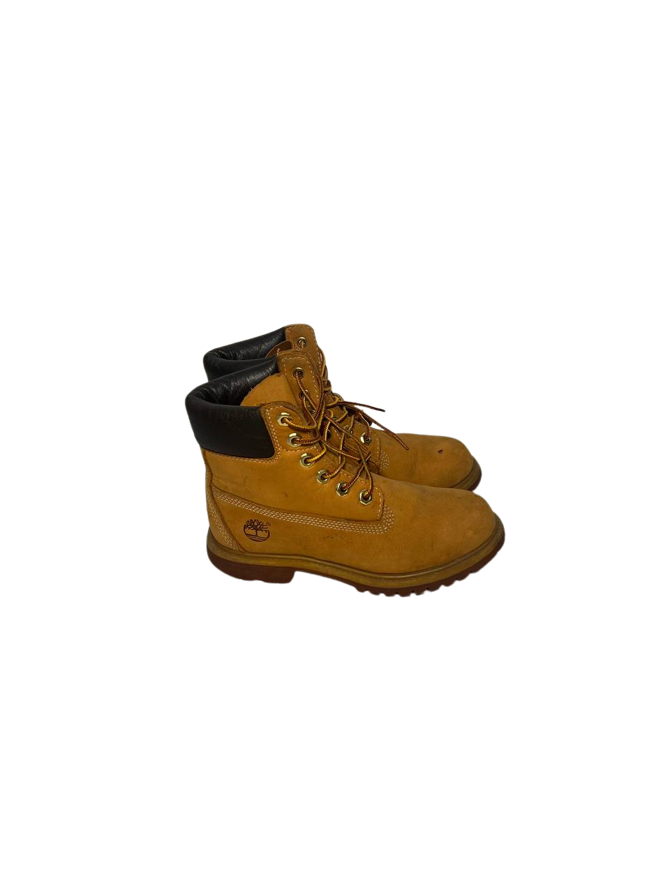 Timberland 5.5 Women's Premium 6-Inch Waterproof Boot