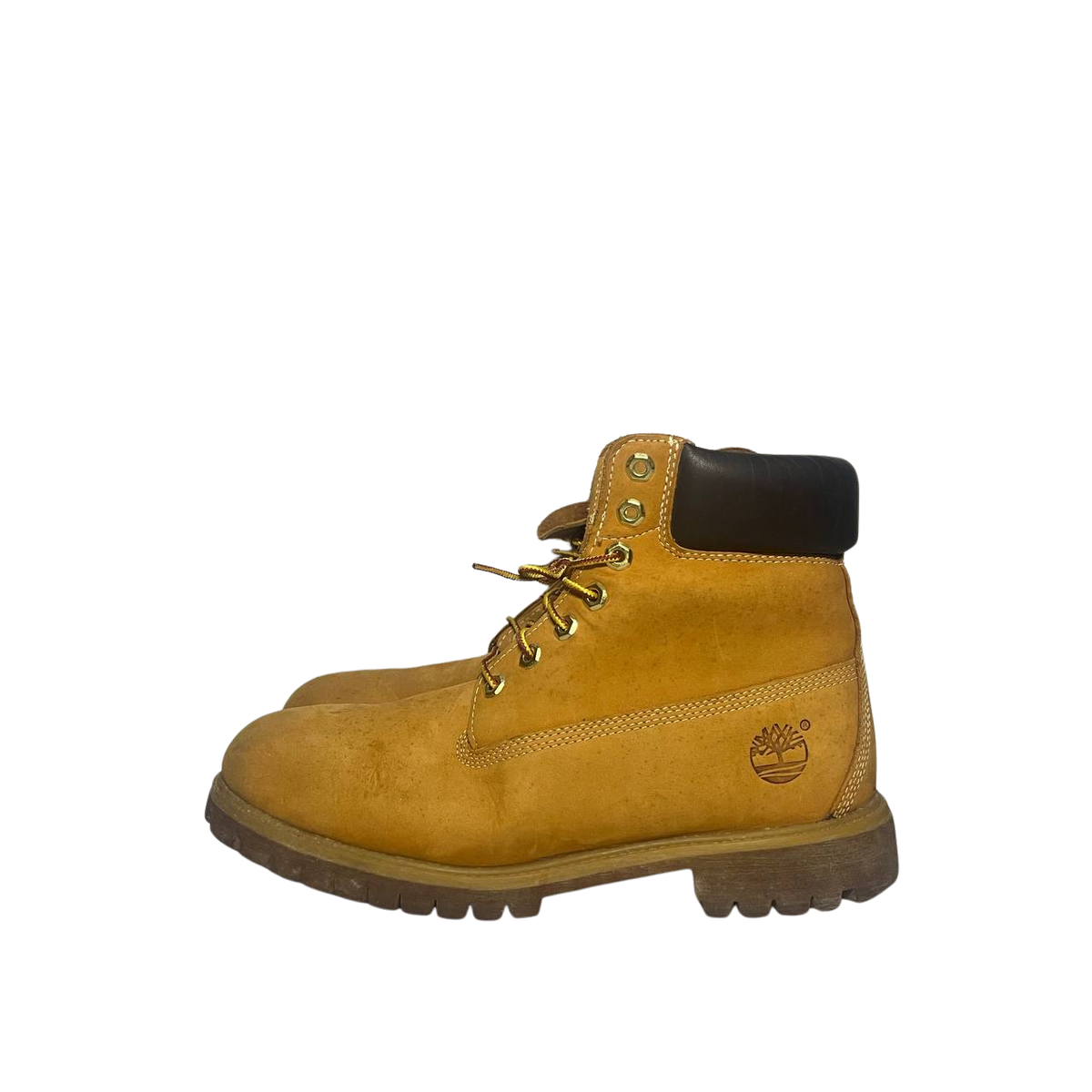 Timberland 10 men's Premium 6-Inch Waterproof Boot