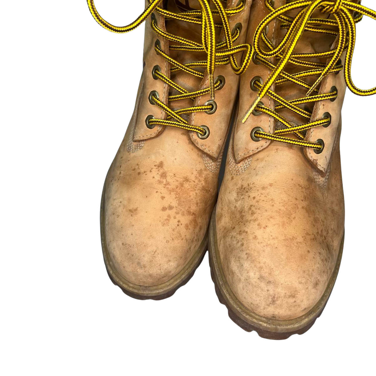 Timberland 12 mens 6Inch Premium Waterproof Boots