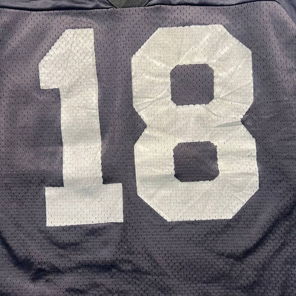 Champion Michael #18 Jersey